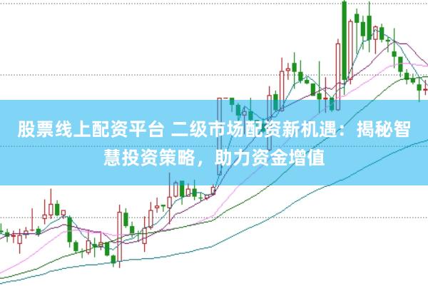 股票线上配资平台 二级市场配资新机遇：揭秘智慧投资策略，助力资金增值
