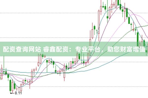 配资查询网站 睿鑫配资：专业平台，助您财富增值