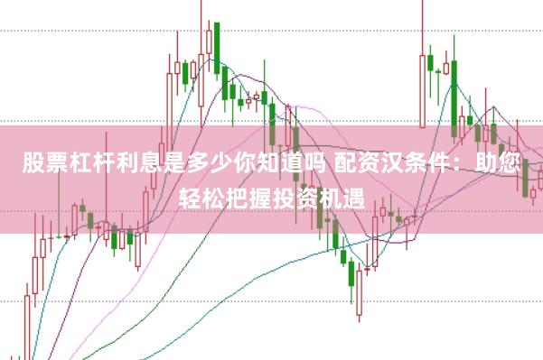 股票杠杆利息是多少你知道吗 配资汉条件：助您轻松把握投资机遇