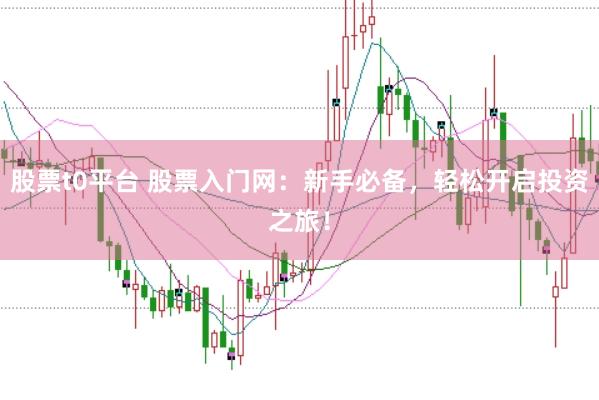 股票t0平台 股票入门网：新手必备，轻松开启投资之旅！