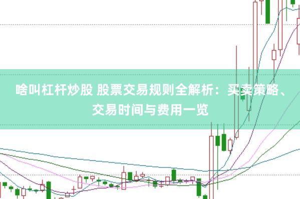 啥叫杠杆炒股 股票交易规则全解析：买卖策略、交易时间与费用一览