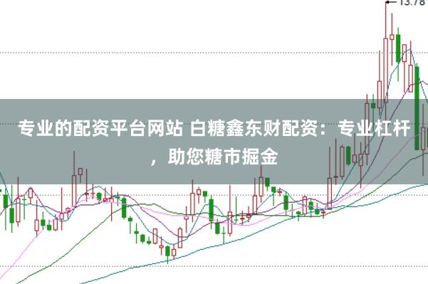 专业的配资平台网站 白糖鑫东财配资：专业杠杆，助您糖市掘金