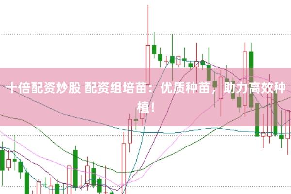 十倍配资炒股 配资组培苗：优质种苗，助力高效种植！