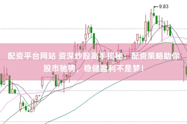 配资平台网站 资深炒股高手揭秘：配资策略助你股市驰骋，稳健盈利不是梦！