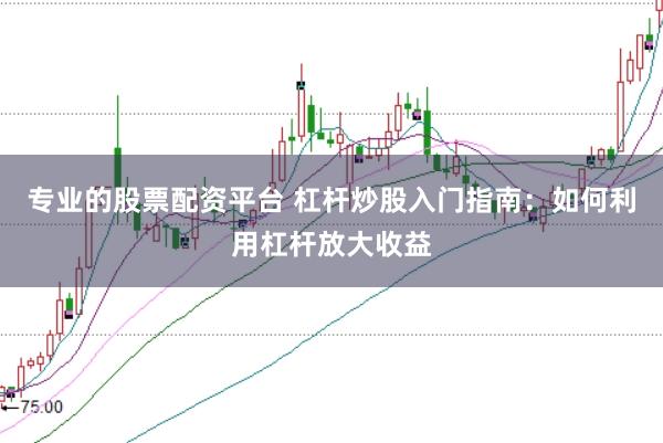 专业的股票配资平台 杠杆炒股入门指南：如何利用杠杆放大收益