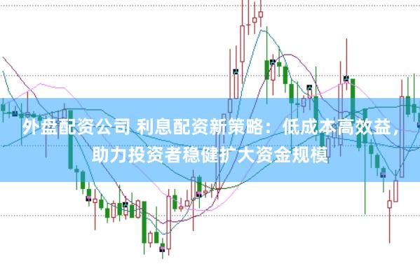 外盘配资公司 利息配资新策略：低成本高效益，助力投资者稳健扩大资金规模