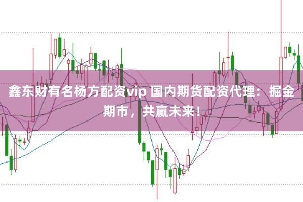 鑫东财有名杨方配资vip 国内期货配资代理:掘金期市,共赢未来!