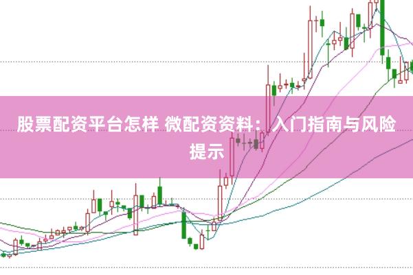 股票配资平台怎样 微配资资料:入门指南与风险提示