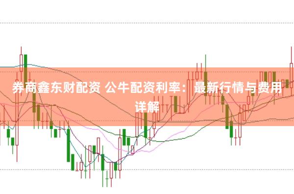 券商鑫东财配资 公牛配资利率:最新行情与费用详解