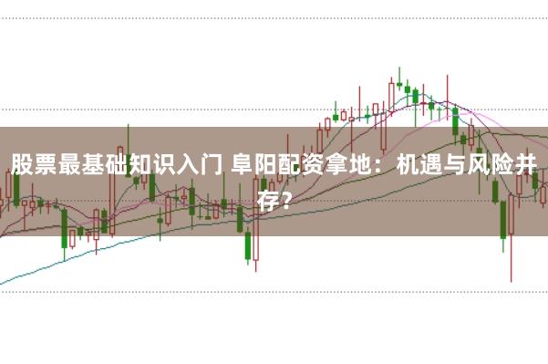 股票最基础知识入门 阜阳配资拿地:机遇与风险并存?